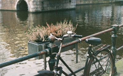 Hôtels Amsterdam 2025: Votre Guide Ultime