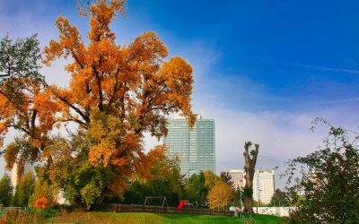 Hôtels à Vienne : Trouvez Votre Séjour Idéal !