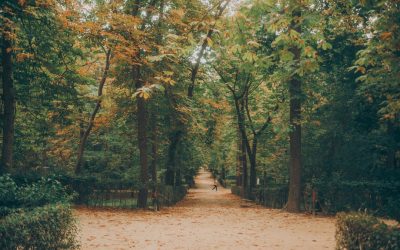 Où Dormir à Madrid : Top Hôtels