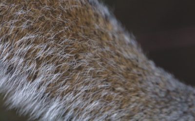 Bien-être Sans Yoga : Exercices Accessibles