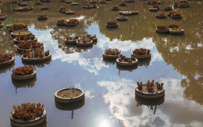 Fukuoka : Votre Guide Ultime des Hôtels pour 2025