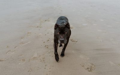 Hôtels Taipei: Luxe, Charme, Budget