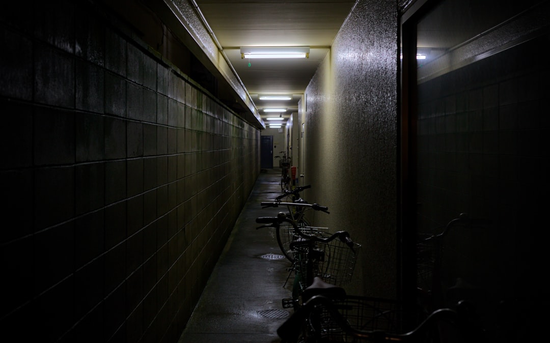 kyoto-h-tels-pour-chaque-budget-votre-guide-ultime-1746210611739