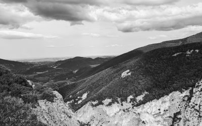 La Marche : Votre Chemin Vers une Vie Épanouie