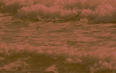 Maîtriser ses émotions: Guide Pratique