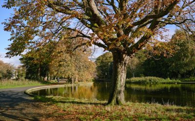 Où dormir à Dublin : Hôtels pour tous budgets
