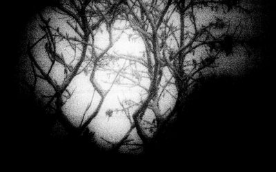 Polyarthrite: Mieux Comprendre