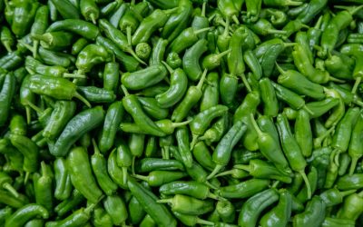 Vivre Sainement : Au-delà du Régime