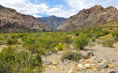 Votre Hôtel Idéal à Las Vegas