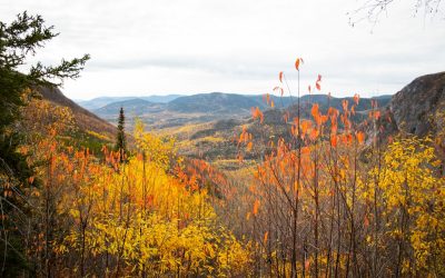 Voyage : Échecs sans Regret