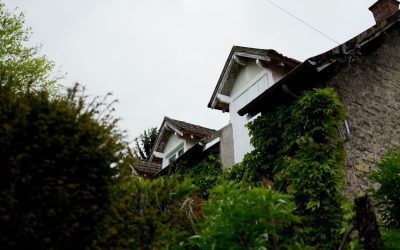 Abdos Express : 10 Min Chez Soi pour Débutants