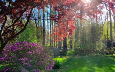 Abdos : Le rôle du taux de graisse