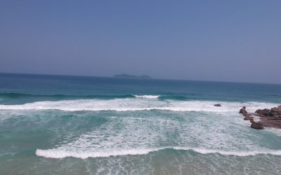 Abdos sans Douleur : Votre Routine Anti-Mal de Dos