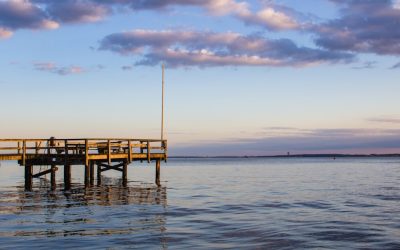 Correction Jambes en O : 2 Mois de Progrès