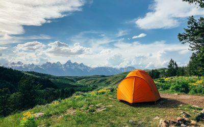 Défi Draw-in : 7 Jours pour un Ventre Tonique et une Meilleure Posture