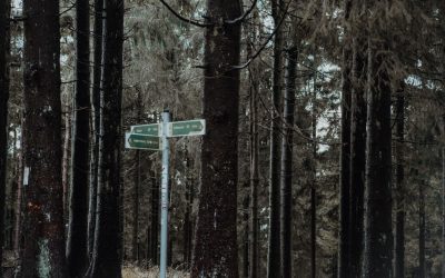 Jambes en O : L’Auto-diagnostic Simple à Domicile