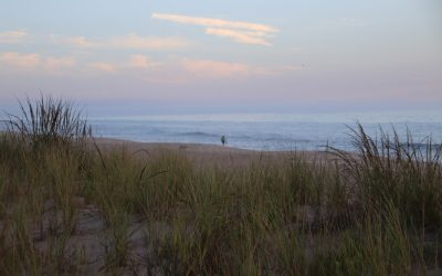 Objectif 4kg : 10 min/jour pour un mois transformé