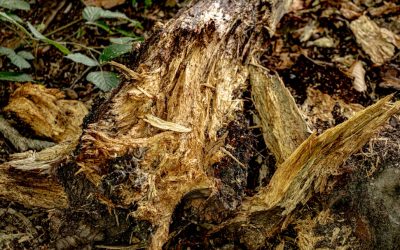 Abdos en béton : Le guide sans équipement