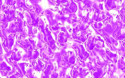 Core Post-Partum : Transverse