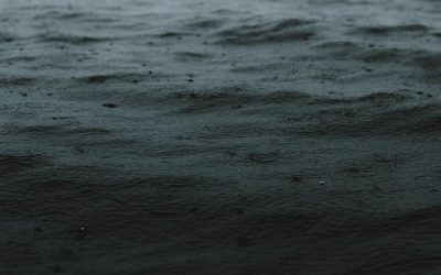 Jambes en O : Alignement Discret