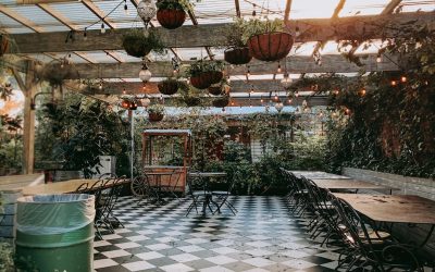 Le Café Autour du Monde : Un Voyage Culturel