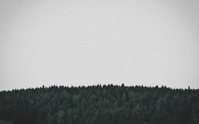 Planche 5 min/jour : Un six-pack en 30 jours ?