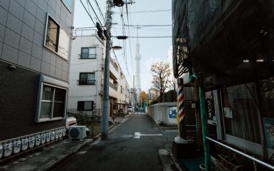 Transverse : 5 exercices essentiels