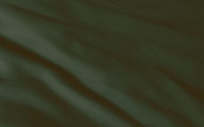 Ventre Plat : Diète et Draw-in, le Duo Gagnant