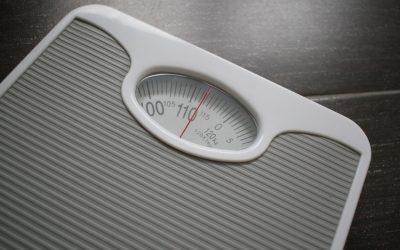 Apps Minceur : Votre Guide Global