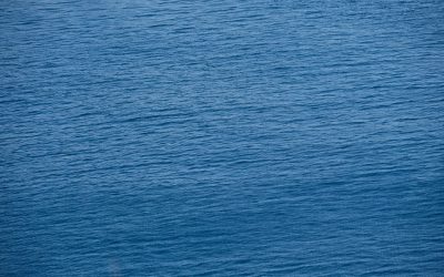 Coût de la Vie : Villes Chères du Monde