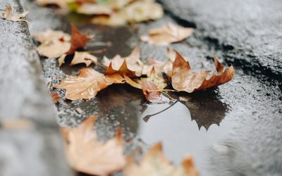 France : Guide Essentiel des Us et Coutumes