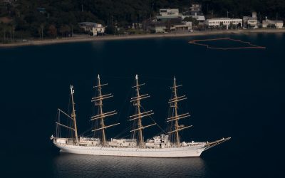 France Verte : Écotourisme Responsable