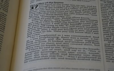 Les langues les plus parlées : un voyage global