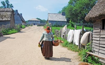 Trésors Naturels : Ingrédients Médicinaux du Monde