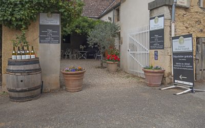 Vivre à la Française en 2025 : Secrets Révélés