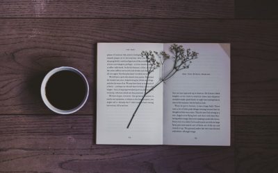 Voyage Littéraire : Qui Lit le Plus ?