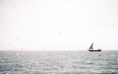 Écotourisme France : Trésors Locaux Inédits