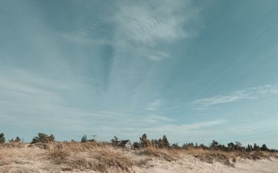 Dormir Mieux : Les Secrets Scientifiques d’un Sommeil Réparateur en 2025 😴