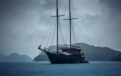 France Écotourisme : Votre Guide Durable