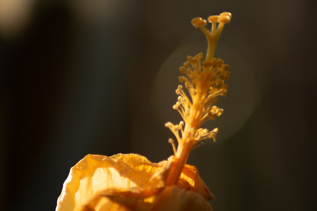 le-secret-des-croissants-parfaits-maison-1756686524026