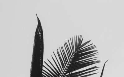 Les Secrets Scientifiques d’un Sommeil Réparateur en 2025