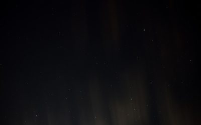 Les Superaliments Populaires dans le Monde : Votre Guide Essentiel pour une Vie Saine en 2025