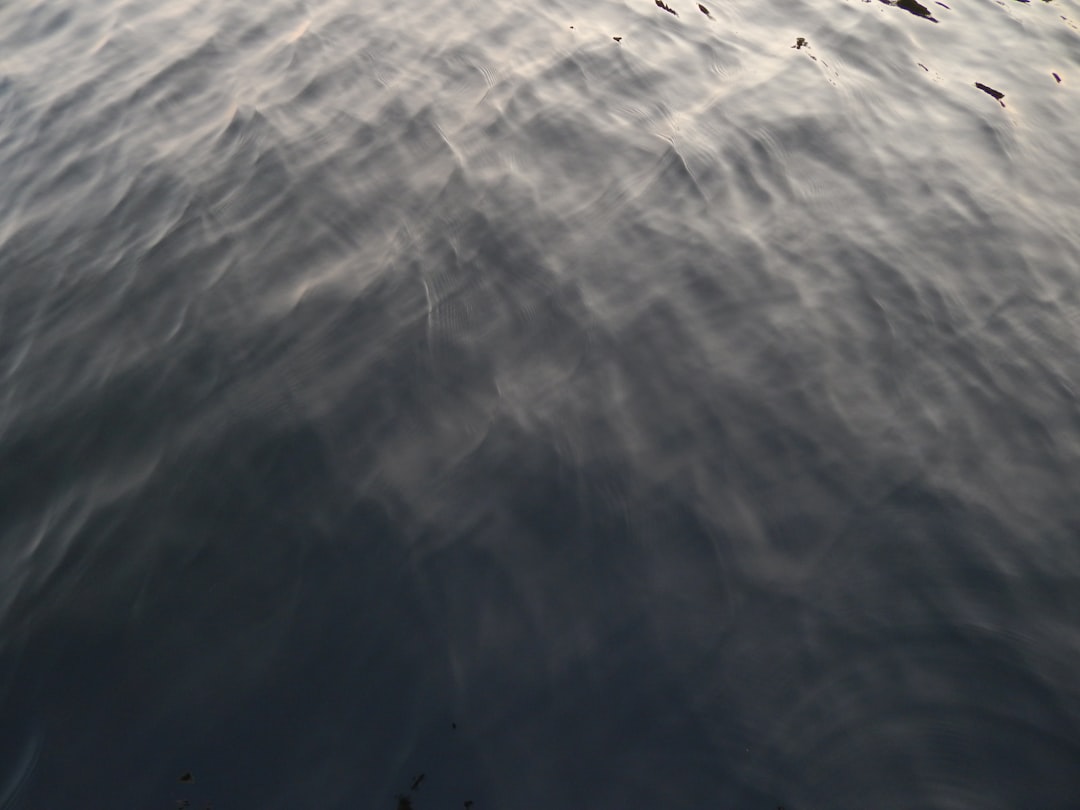 les-superaliments-populaires-dans-le-monde-votre-guide-essentiel-pour-une-vie-saine-en-2025-1758824952072