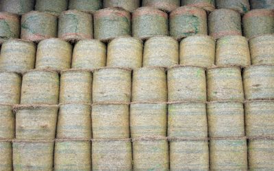 Trésors Cachés de la Gastronomie Française : L’Aventure Culinaire Ultime