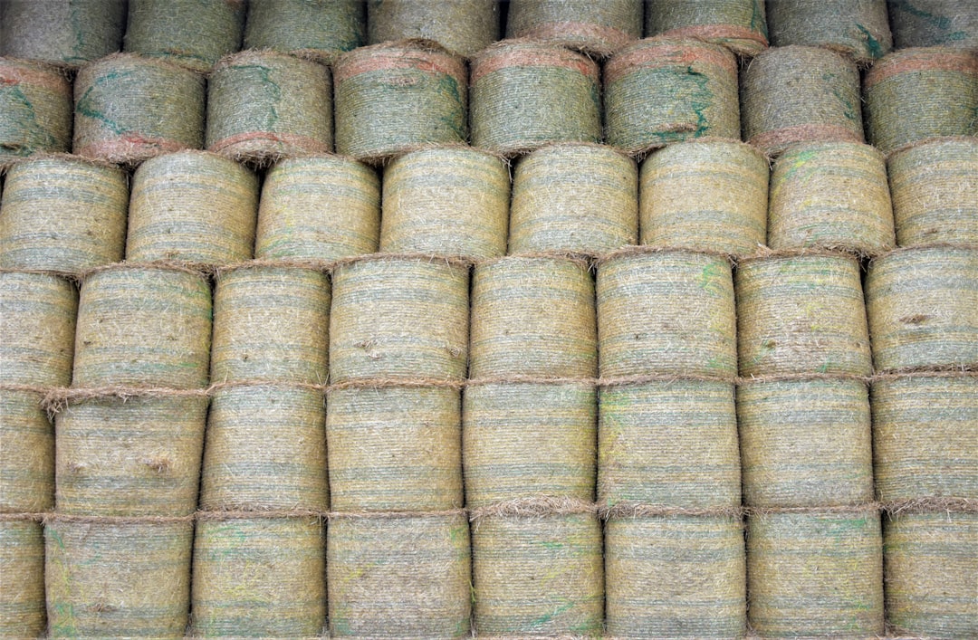 tr-sors-cach-s-de-la-gastronomie-fran-aise-l-aventure-culinaire-ultime-1756880924545