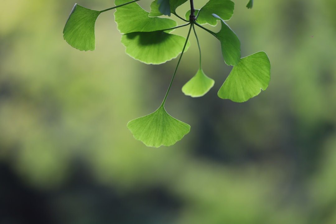 vivre-z-ro-d-chet-en-france-le-guide-1757204930402