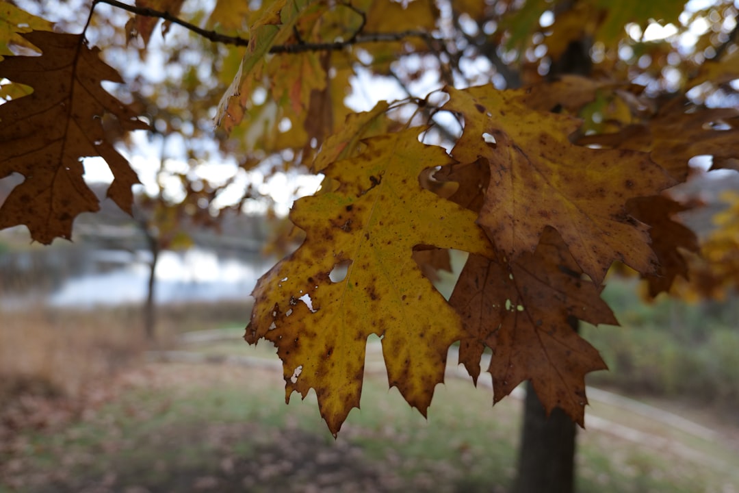 5-choses-essentielles-que-les-humains-doivent-faire-l-re-de-l-ia-1761557347885