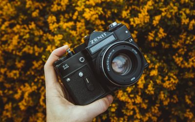 Atteindre Vos Objectifs : Le Pouvoir des Systèmes Plutôt Que de la Simple Volonté