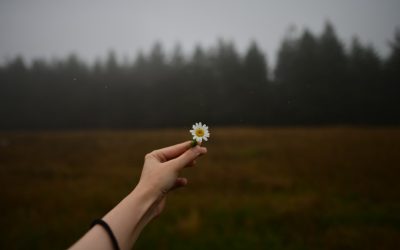 Cultiver le Bonheur en Solitaire : Une Approche Psychologique