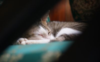 La Routine en Or pour Doubler l’Efficacité de Votre Sommeil